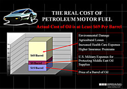 The real cost of petroleum motor fuel